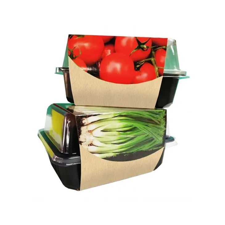 Mini Serada Yetiştirme Kiti