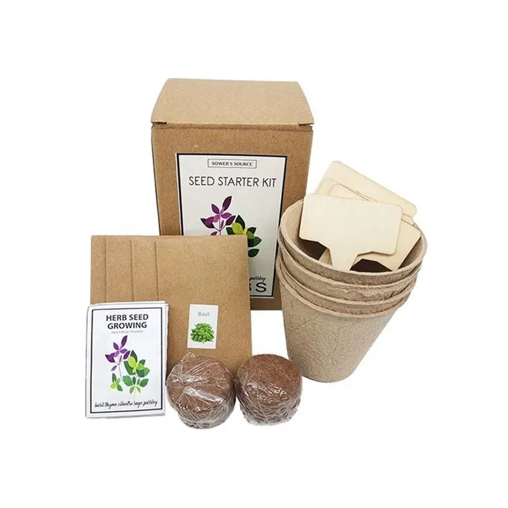 Kendi Bitki Kitlerinizi Yetiştirin